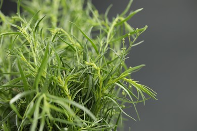 Fresh tarragon leaves on grey background, closeup Space for text