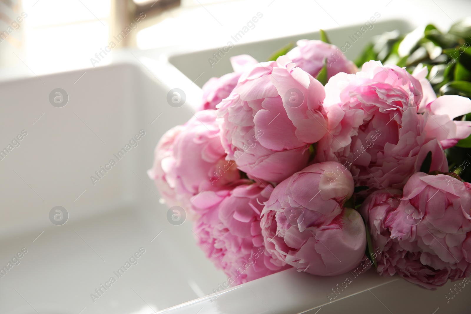 Photo of Bouquet of beautiful pink peonies in kitchen sink, closeup