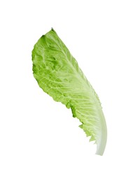 Fresh leaf of green romaine lettuce isolated on white