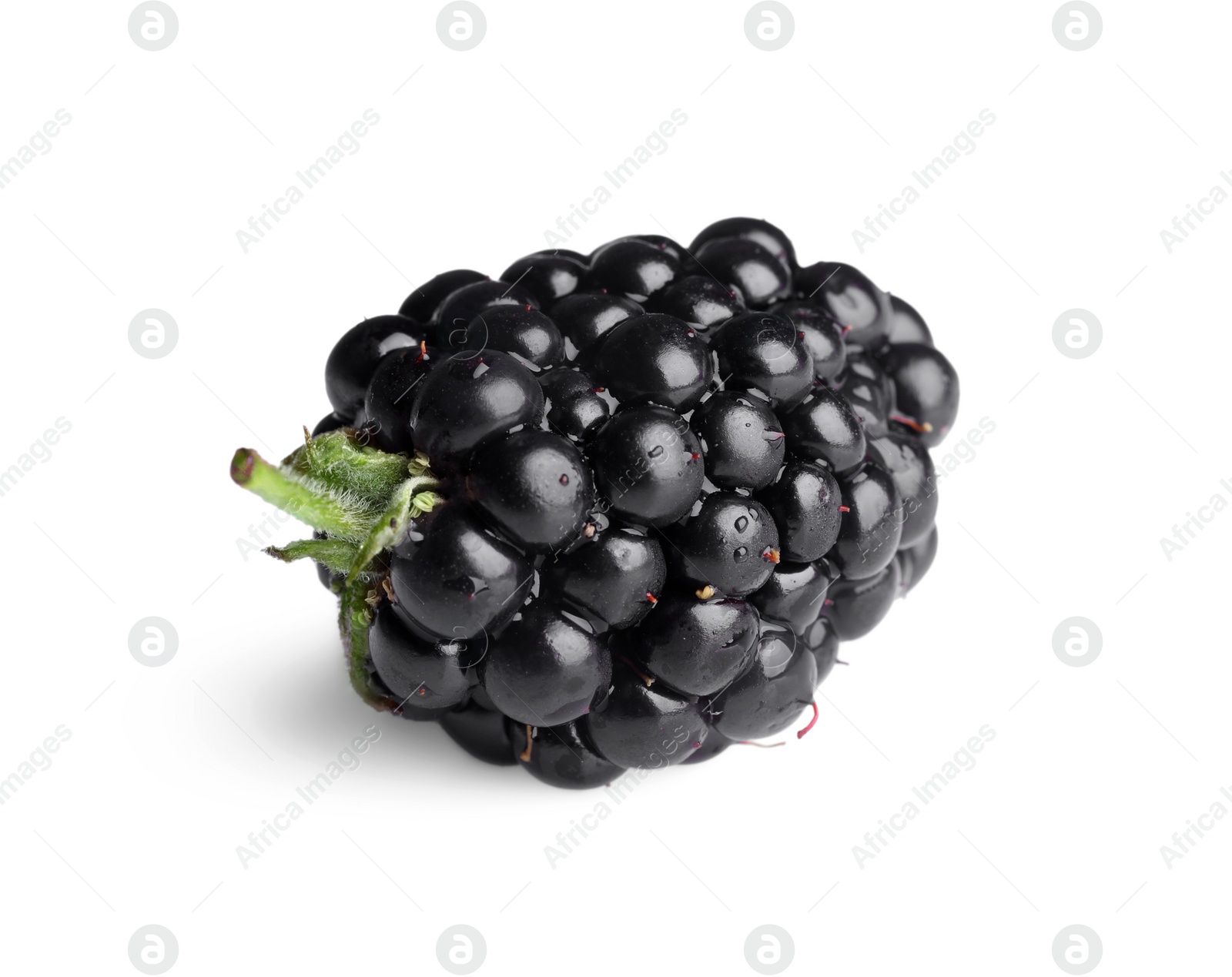 Photo of One tasty ripe blackberry isolated on white