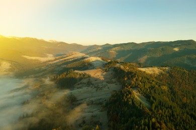 Image of Beautiful landscape with forest in mountains on sunny day. Drone photography