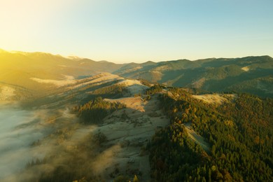 Beautiful landscape with forest in mountains on sunny day. Drone photography