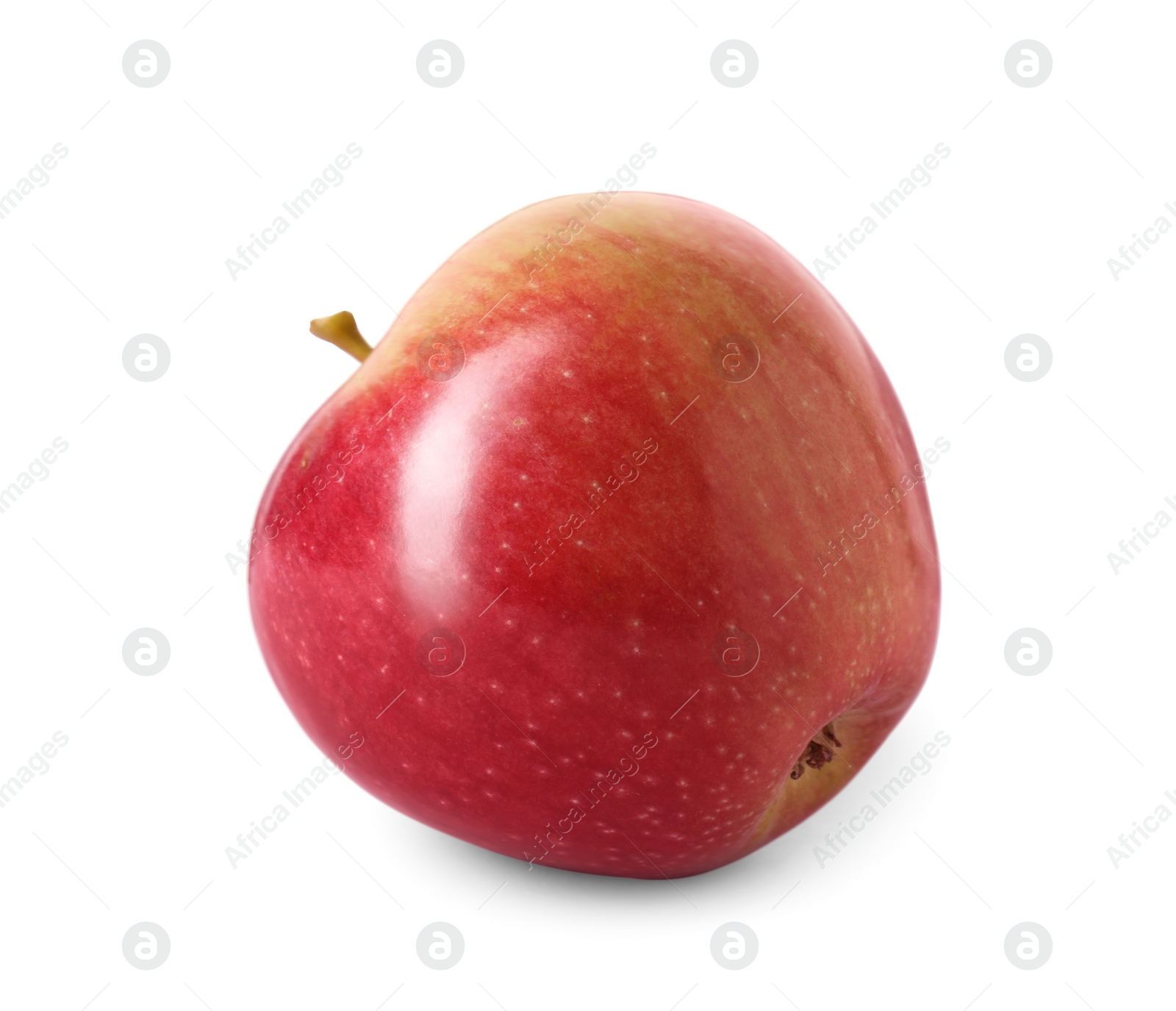 Photo of One ripe red apple isolated on white