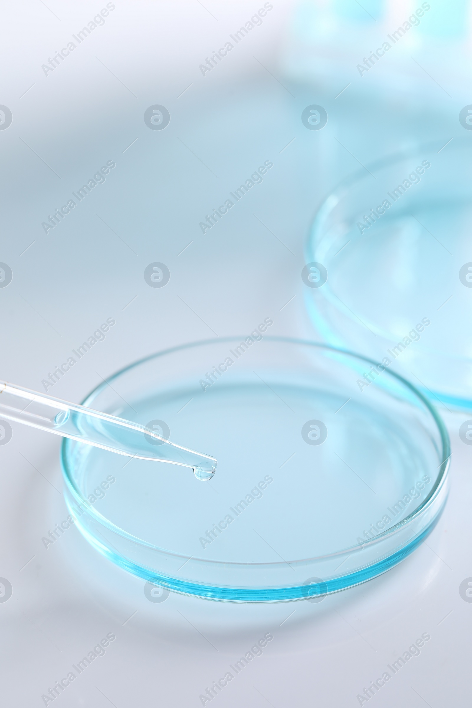 Photo of Dripping liquid from pipette into petri dish at white background, closeup. Laboratory analysis