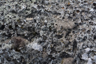 Photo of Closeup view of stone covered with lichen as background