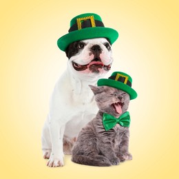 St. Patrick's day celebration. Cute dog and cat with green leprechaun hats on yellow background