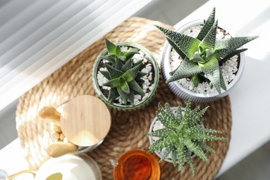 Many beautiful potted plants and cup of tea on windowsill, above view. Floral house decor