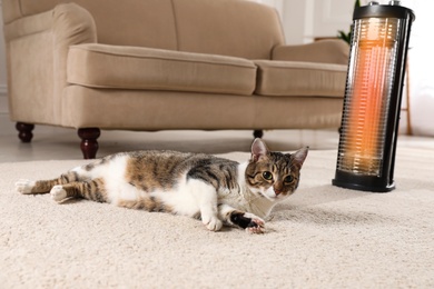 Photo of Cute cat on floor near modern electric halogen heater indoors