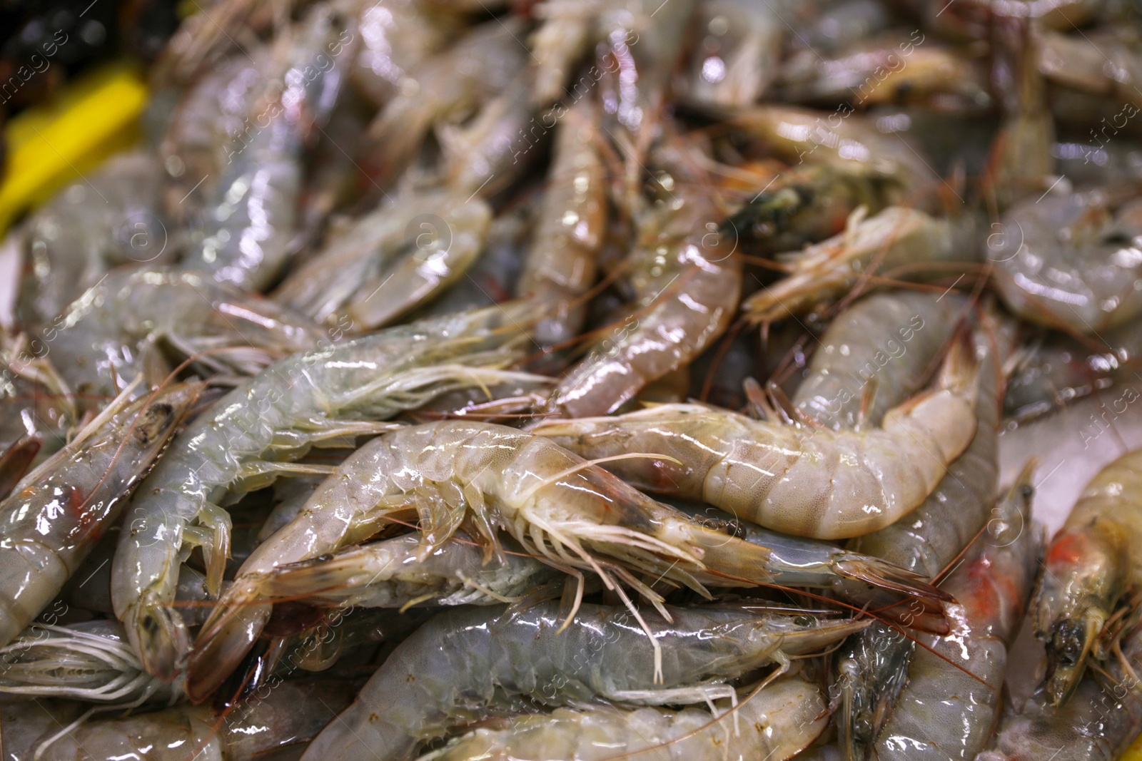 Photo of Many fresh raw shrimp as background, closeup