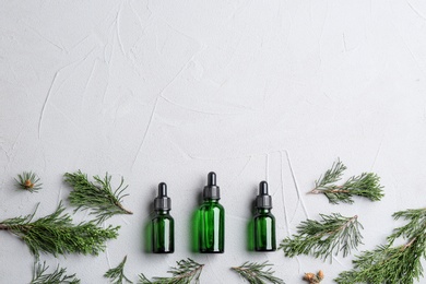 Flat lay composition with bottles of conifer essential oil and space for text on light background