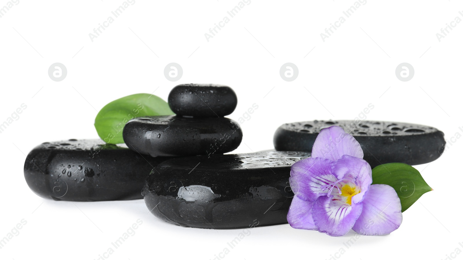 Photo of Black spa stones and fresh flower isolated on white