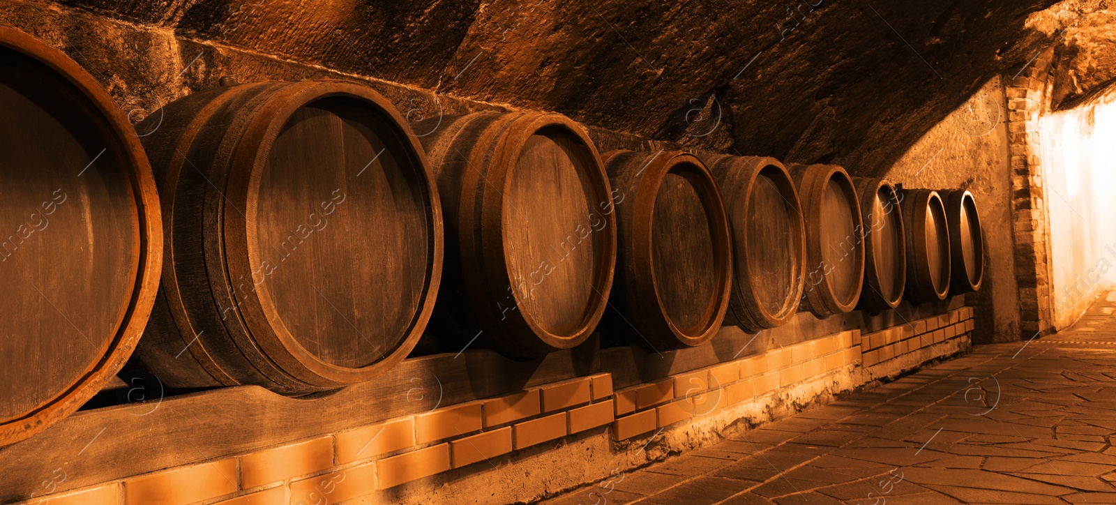 Image of Many wooden barrels in cellar, banner design