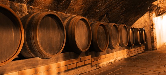Many wooden barrels in cellar, banner design