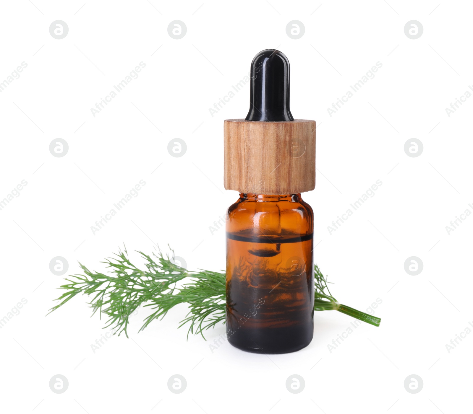 Photo of Bottle of essential oil and fresh dill isolated on white