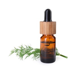 Bottle of essential oil and fresh dill isolated on white