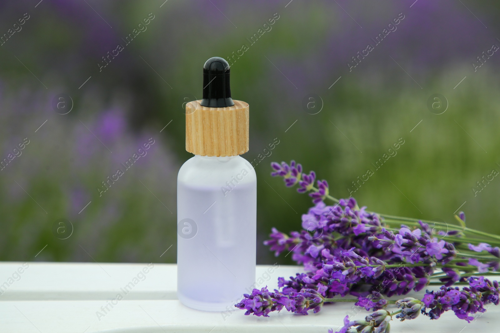 Photo of Bottle of essential oil and lavender flowers on white wooden table in field