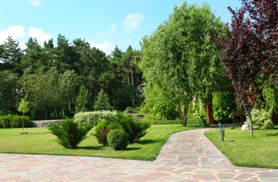 Photo of Picturesque landscape with beautiful green garden on sunny day