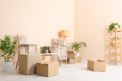 Photo of Room with moving boxes, furniture and houseplants