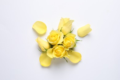 Beautiful yellow roses and petals on white background, flat lay