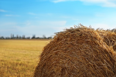 Round rolled hay bale in agricultural field on sunny day, closeup