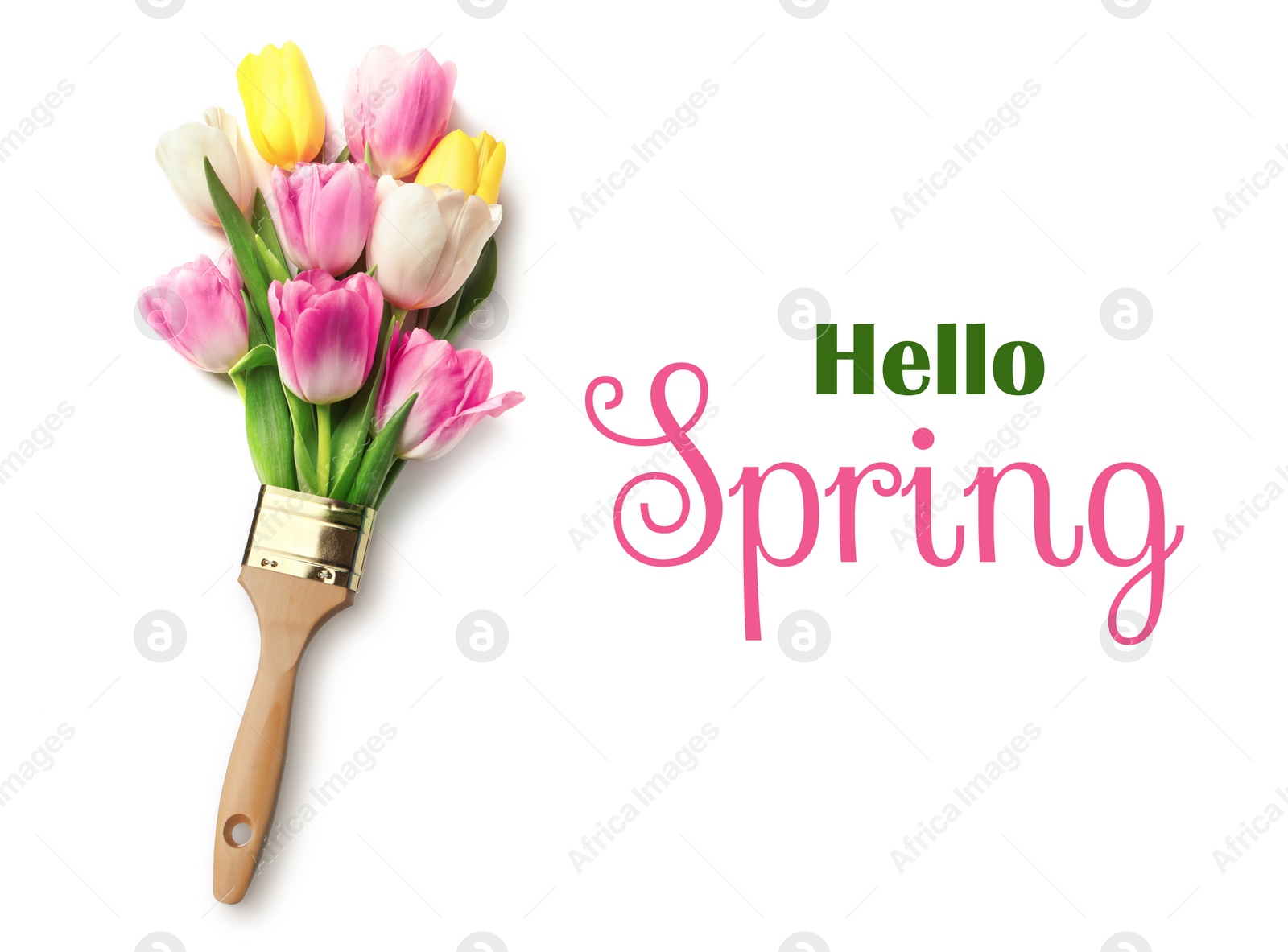 Image of Hello Spring card. Paint brush and beautiful tulips on white background, top view