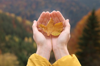 Photo of Woman holding beautiful autumn leaf near forest, closeup