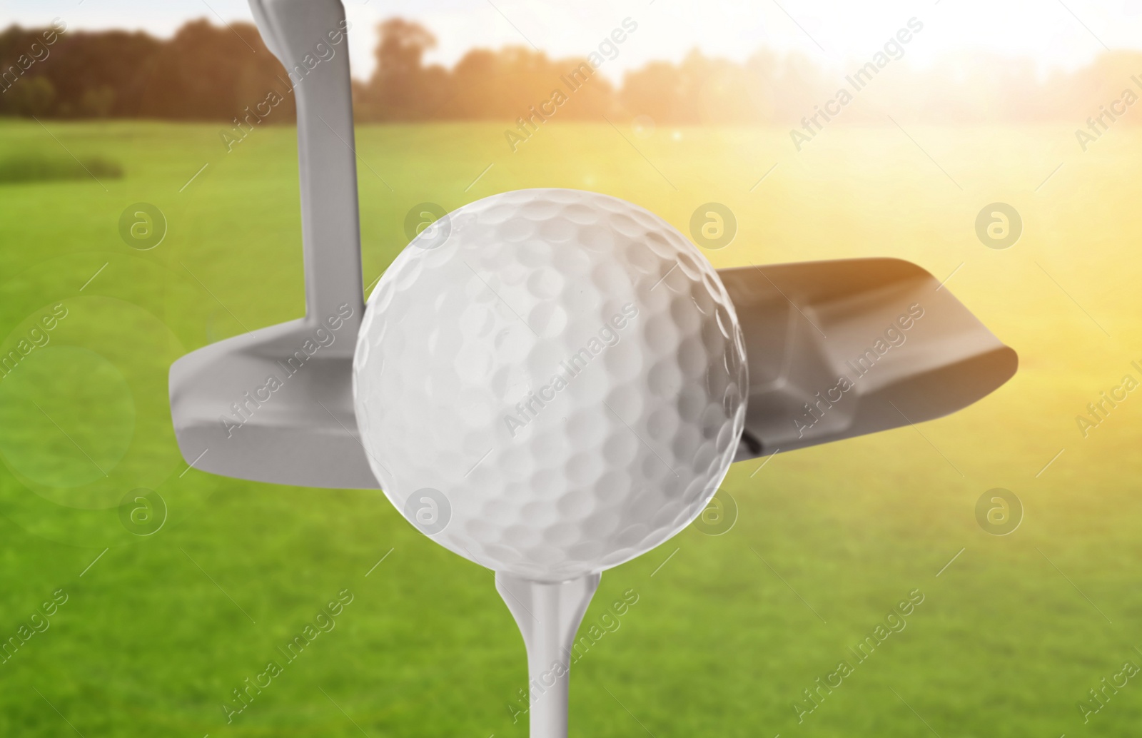 Image of Hitting golf ball with club in park on sunny day