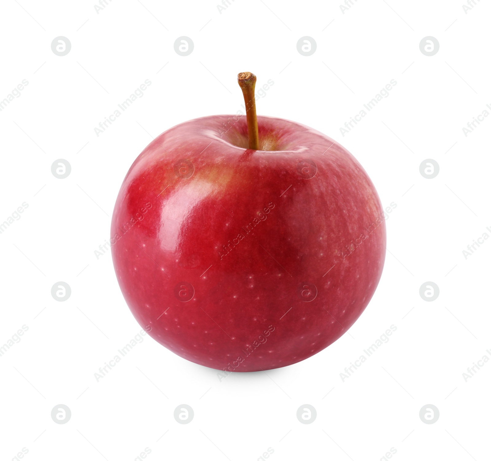 Photo of One ripe red apple isolated on white