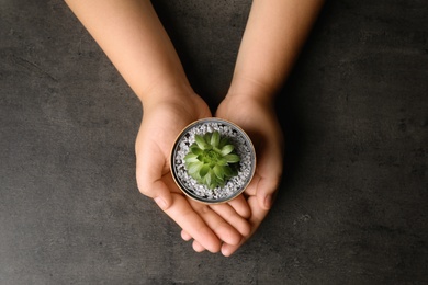 Photo of Child holding tin can with beautiful succulent at grey table, top view