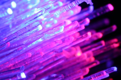 Photo of Optical fiber strands transmitting different color lights in darkness, macro view