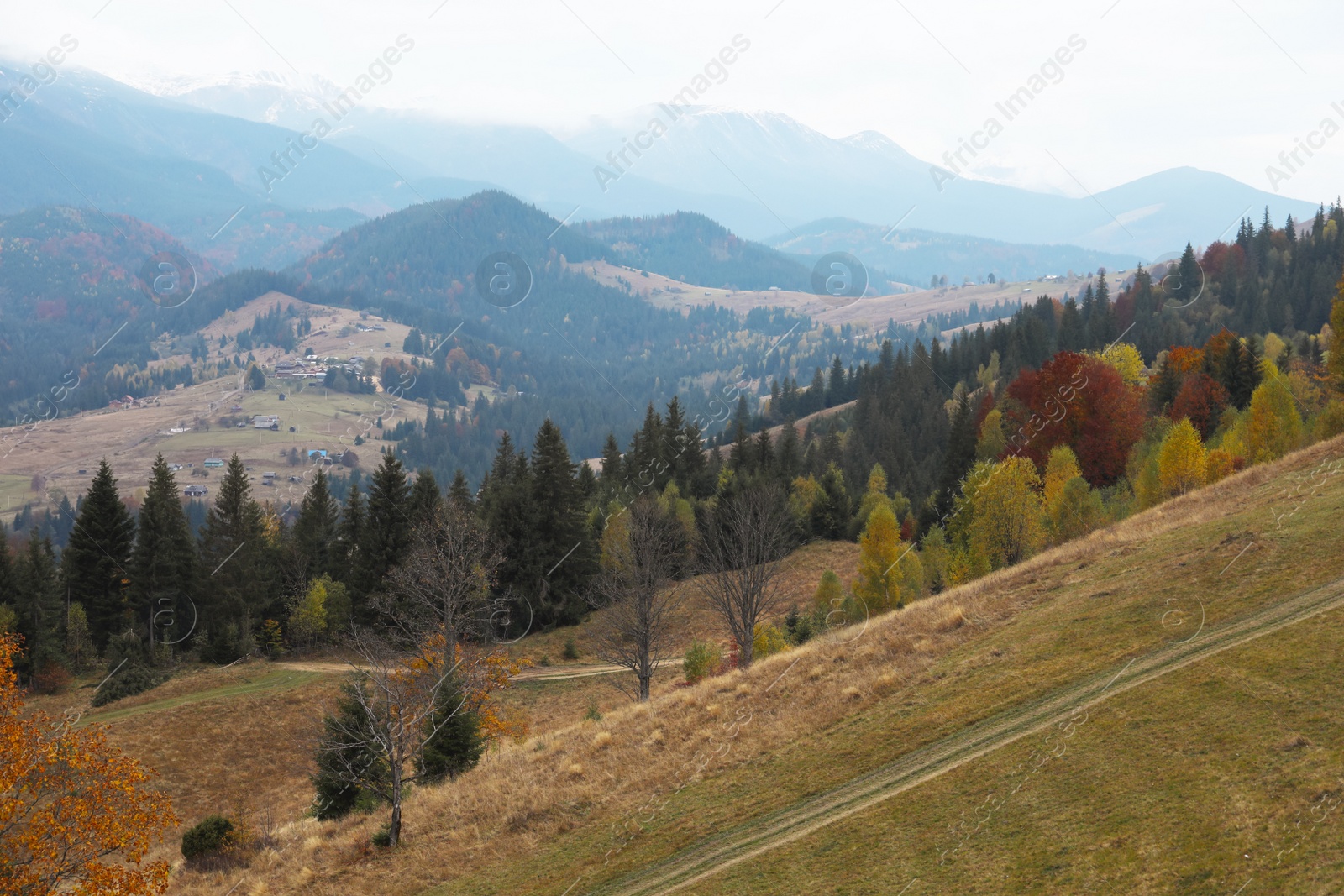 Photo of Picturesque view of beautiful mountains with autumn forest