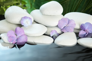 Zen stones and beautiful exotic flowers in water