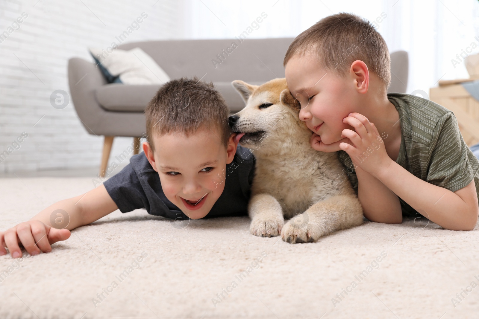 Photo of Happy boys with Akita Inu dog on floor in living room. Little friends