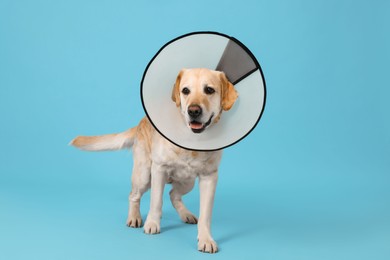Photo of Cute Labrador Retriever with protective cone collar on light blue background