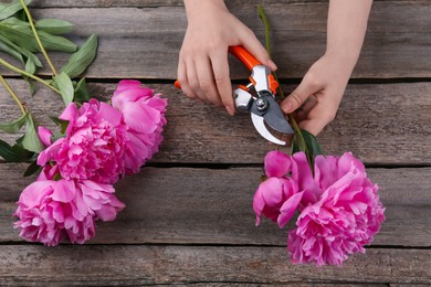 Woman trimming beautiful pink peonies with secateurs at wooden table, top view