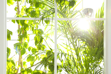 Photo of Beautiful view through window on garden in morning