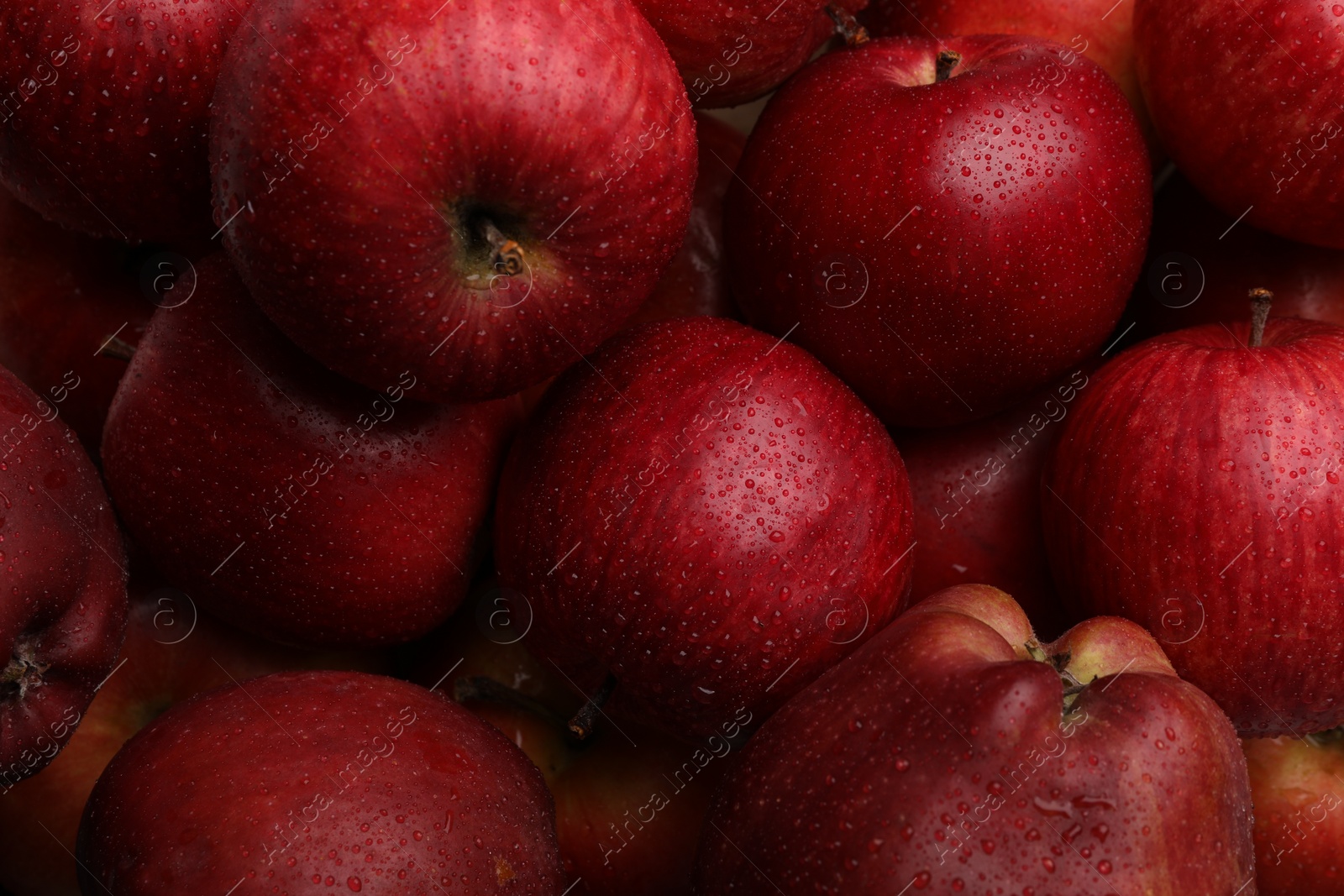 Photo of Fresh red apples with water drops as background, top view