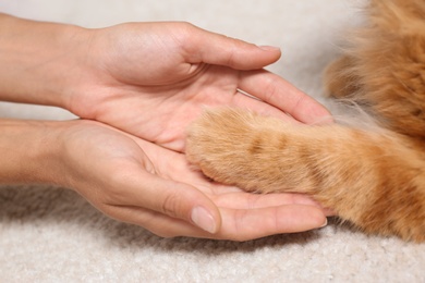 Photo of Woman and cat holding hands together on light carpet, closeup view