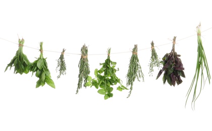 Photo of Bunches of rosemary and other herbs hanging against white background