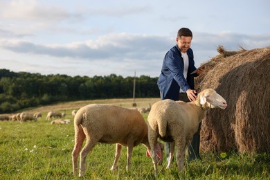 Photo of Smiling farmer with tablet stroking sheep near hay bale on animal farm. Space for text