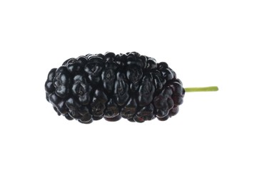 Photo of One ripe black mulberry on white background