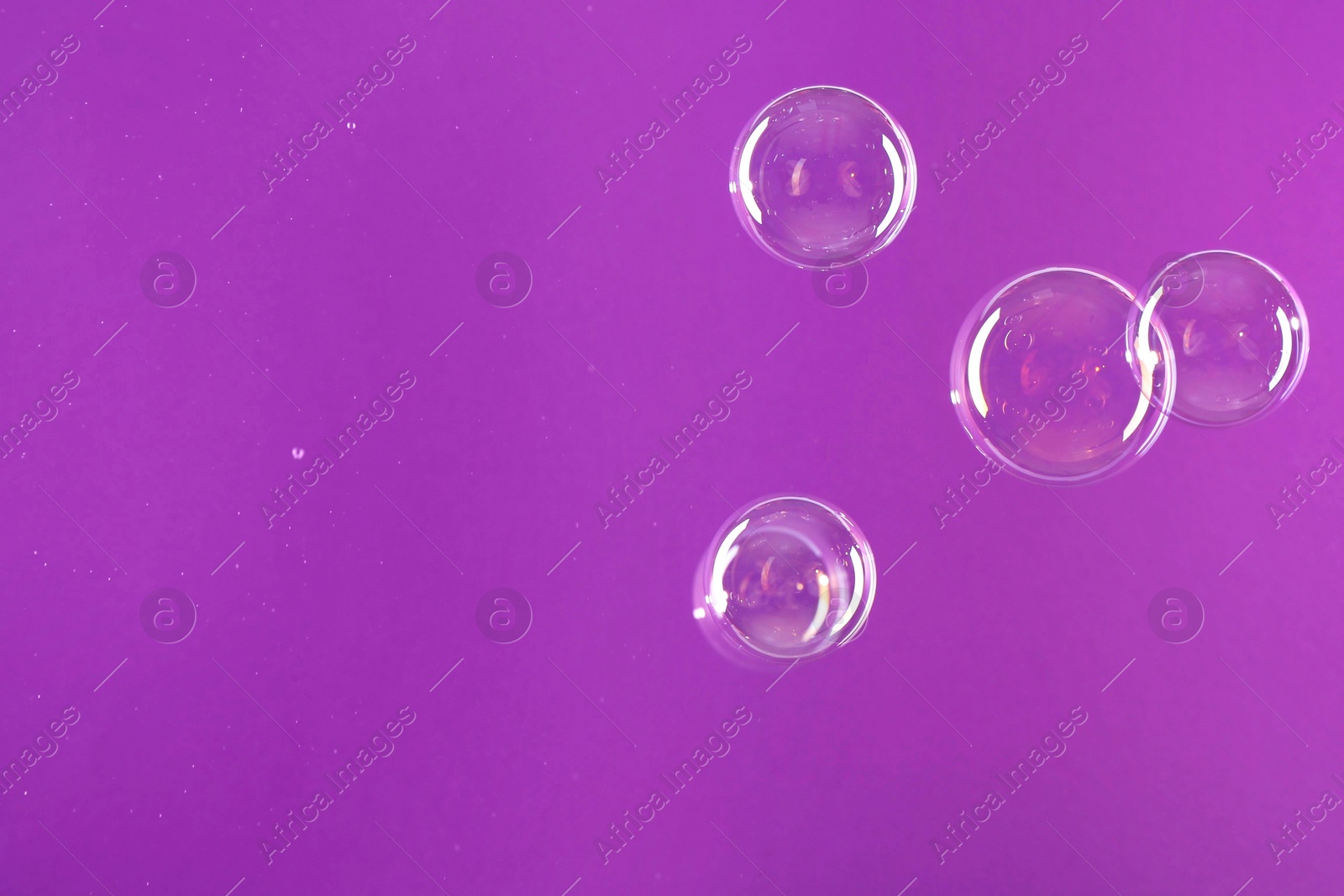 Photo of Beautiful transparent soap bubbles on violet background, space for text