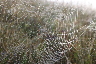 Photo of Closeup view of cobweb with dew drops outdoors
