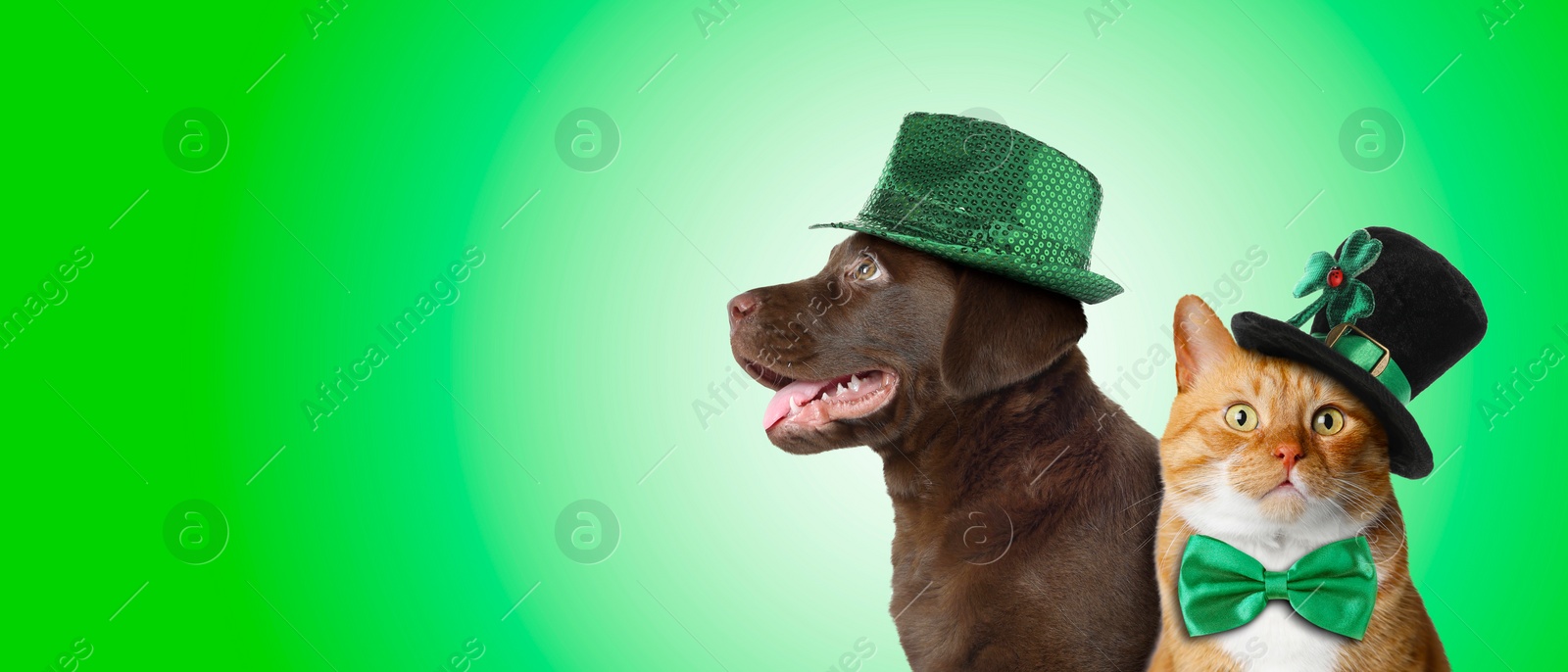 Image of St. Patrick's day celebration. Cute dog and cat in leprechaun hats on green background. Banner design with space for text