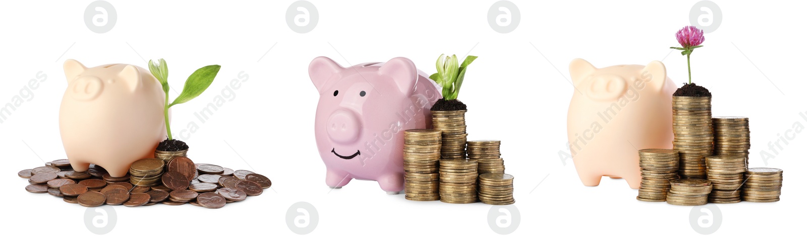 Image of Set with stacks of coins, growing plants and piggy banks on white background, banner design. Successful investment