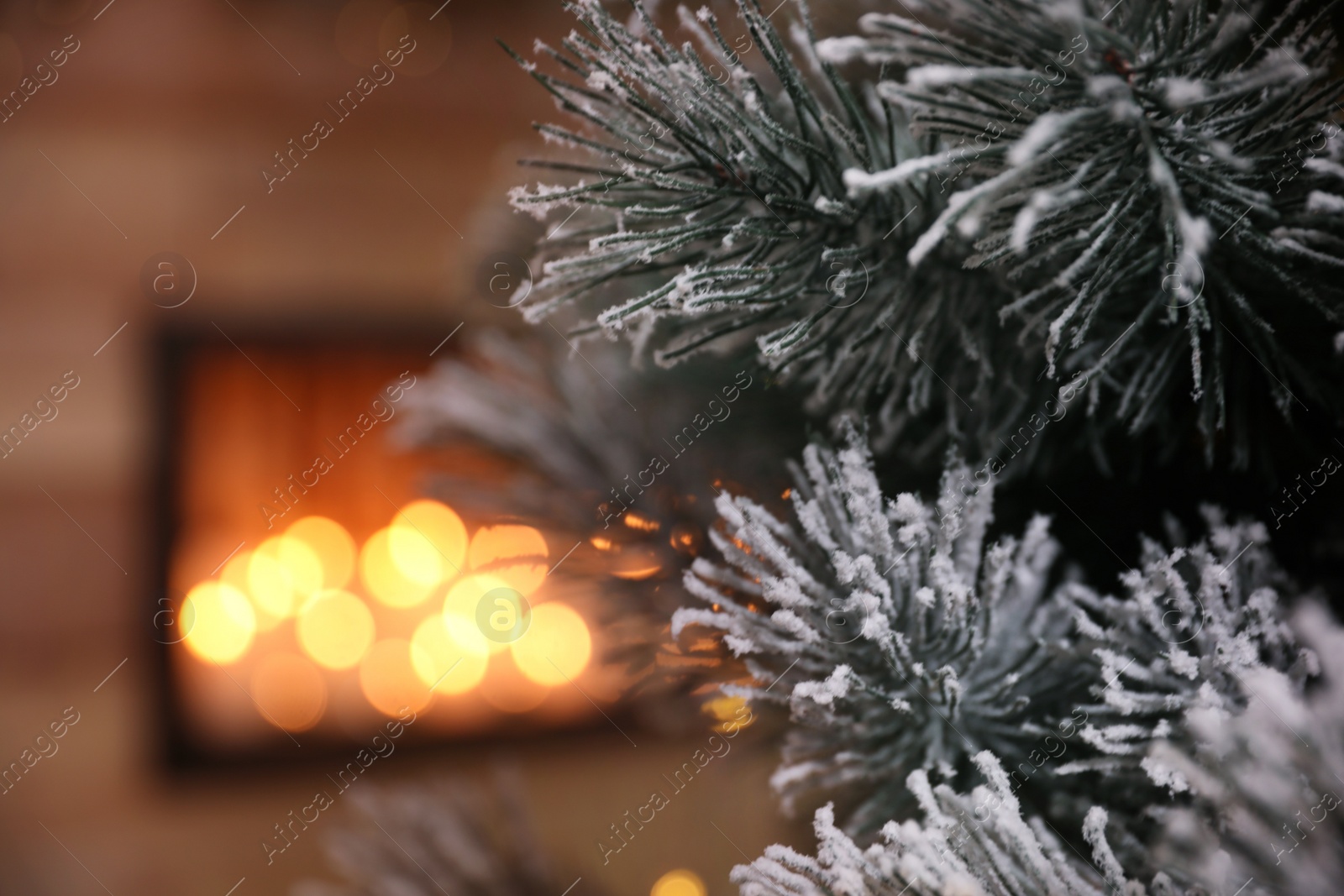 Photo of Closeup view of Christmas tree in room, space for text. Festive interior