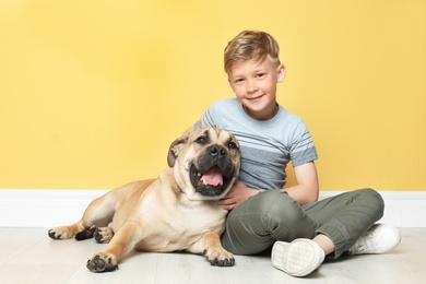 Photo of Cute little child with his dog sitting on floor near color wall