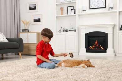 Little boy brushing cute ginger cat's fur on soft carpet at home