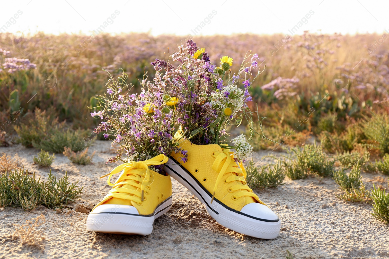 Photo of Shoes with beautiful wild flowers in meadow