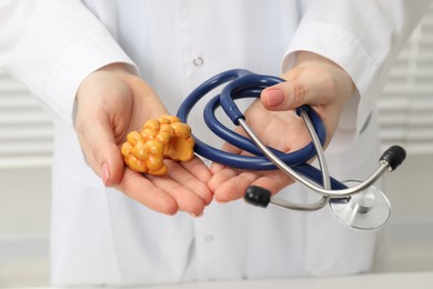 Photo of Endocrinologist holding stethoscope and model of thyroid gland, closeup